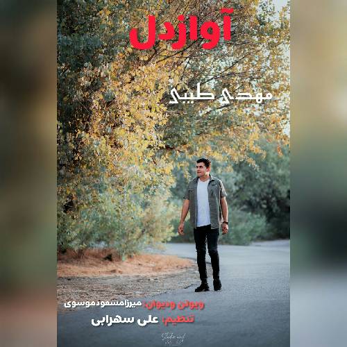 مهدی طیبی آواز دل